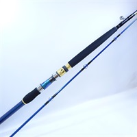 ２１ゴウイン落とし込みＨ－２４５・Ｒ